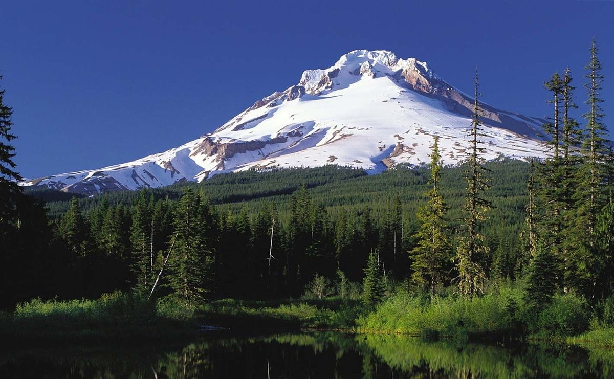 Snow-capped mountain rises above a dense green forest and a calm reflective lake under a clear blue sky.