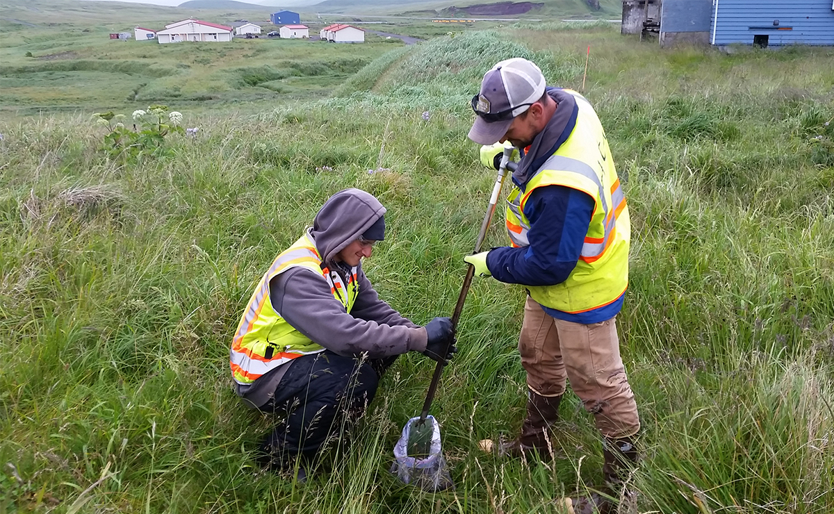 Two people in safety vests and work gloves take a soil sample with a probe in a grassy field. One kneels holding a container while the other pushes the probe into the ground. Buildings and green hills are visible in the background.