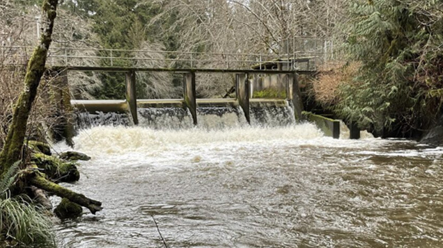 A small dam or weir spans a river in a forested area, with water cascading over the structure and creating white froth below. Leafless trees and evergreen foliage surround the scene.